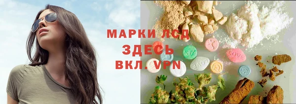 ECSTASY Алзамай