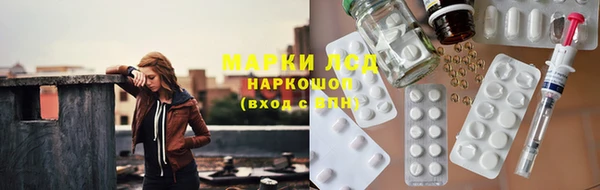 ECSTASY Алзамай