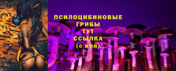 гидра Алексин