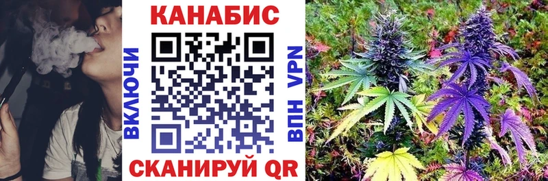 Бошки Шишки ГИДРОПОН  Купить закладки  Сунжа 